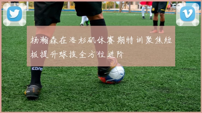 杨瀚森在洛杉矶休赛期特训聚焦短板提升球技全方位进阶
