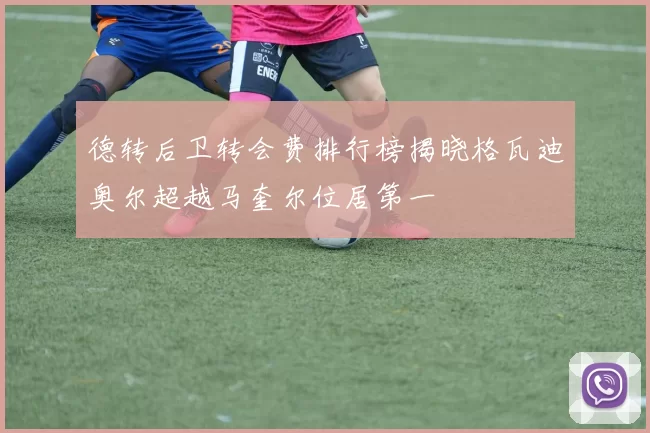 德转后卫转会费排行榜揭晓格瓦迪奥尔超越马奎尔位居第一