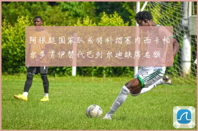 阿根廷国家队或将补招塞内西卡帕尔多贾伊替代巴列尔迪缺席名额
